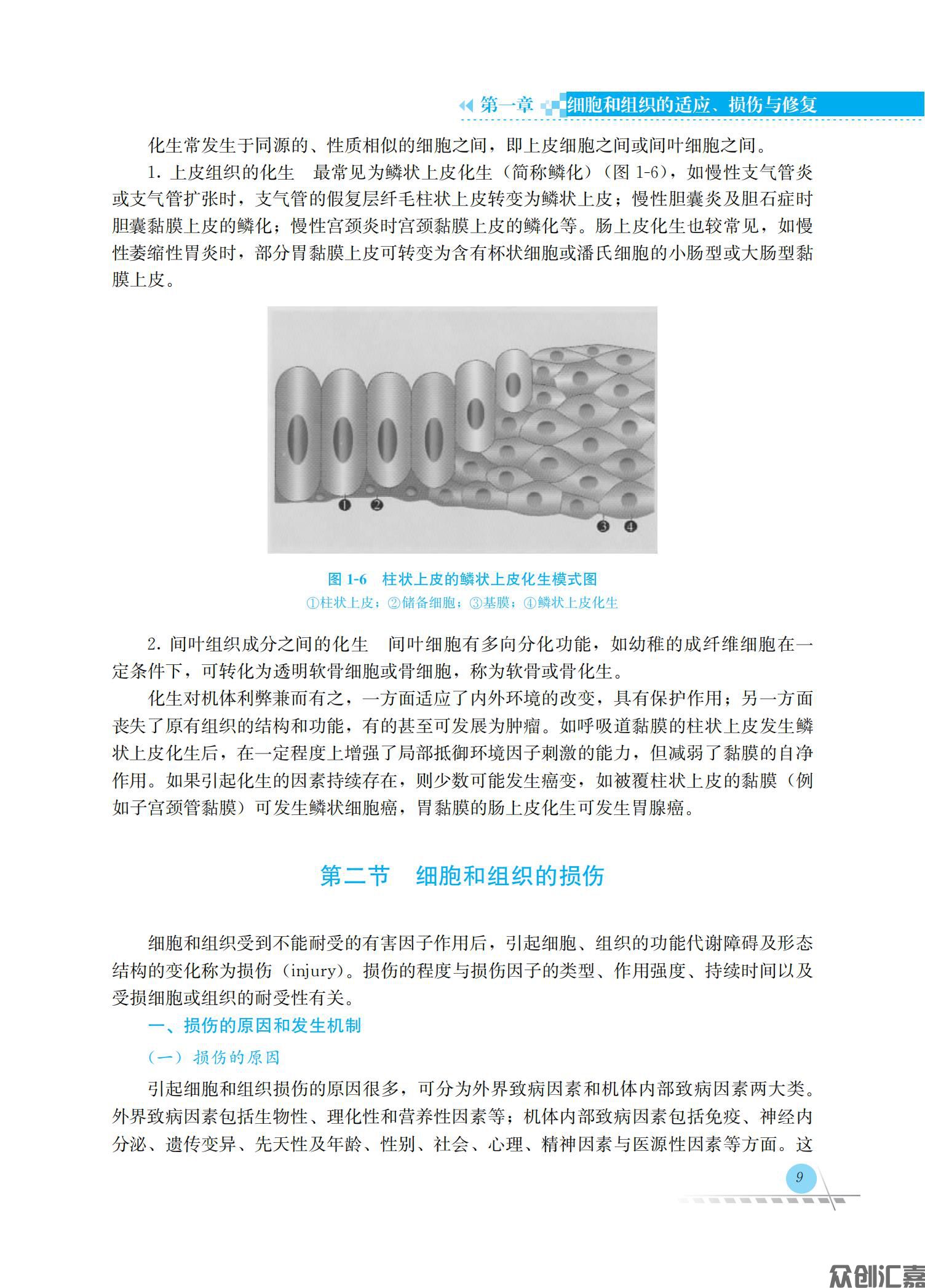 病理学_16.jpg