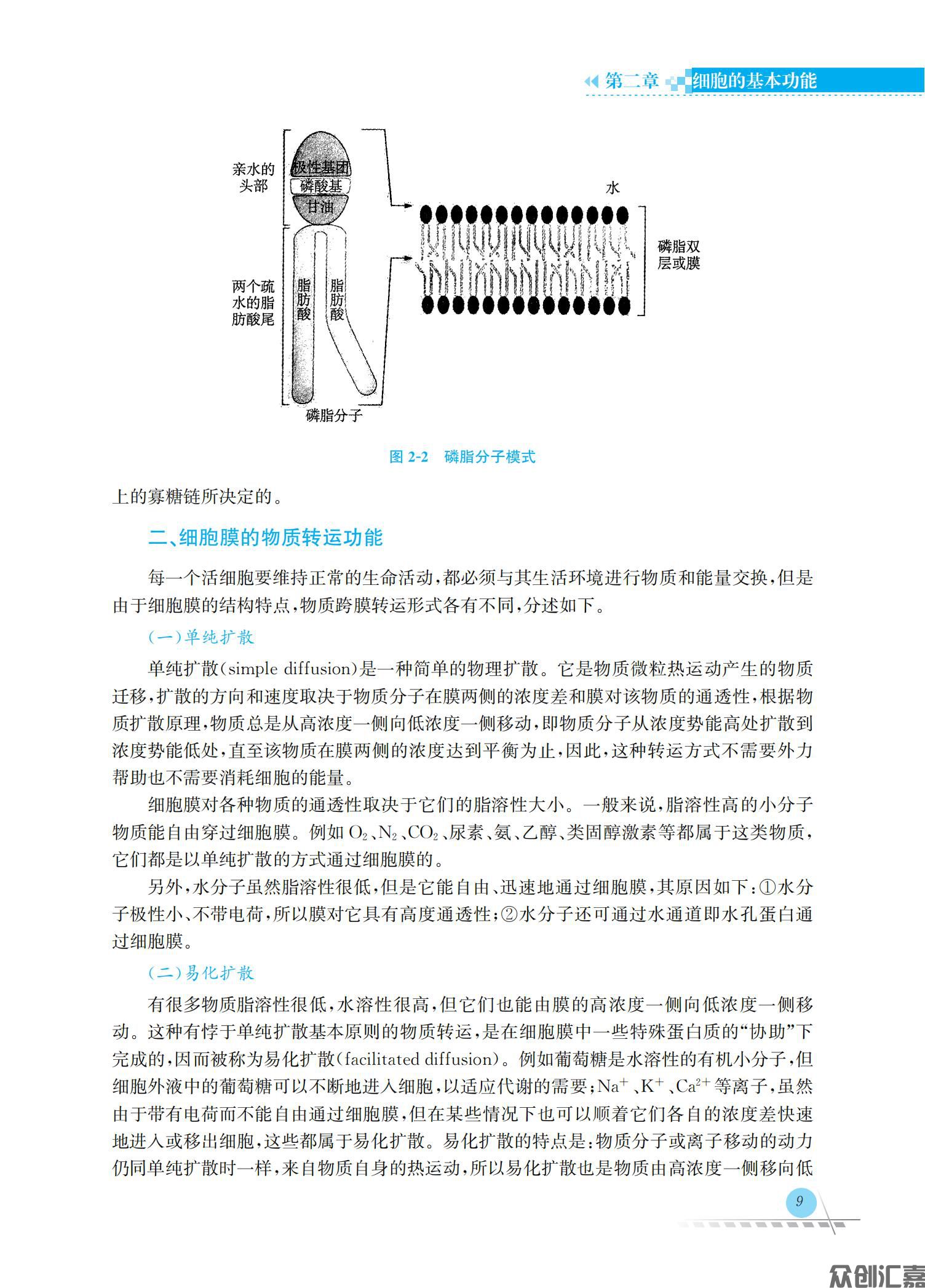 生理学_15.jpg