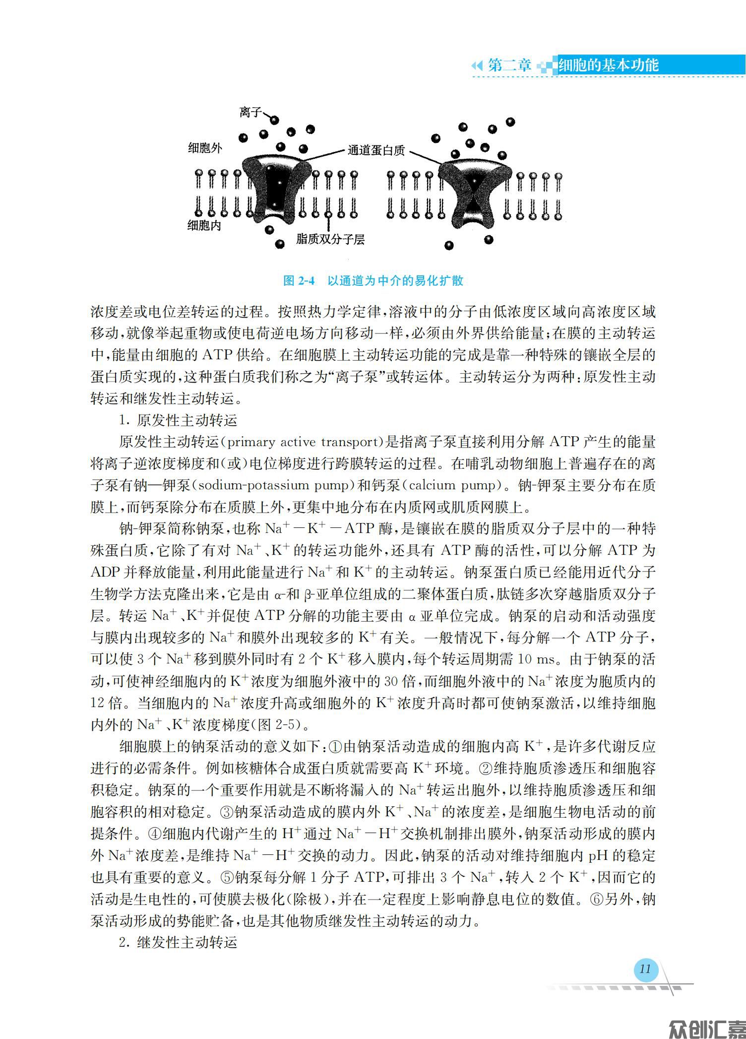 生理学_17.jpg