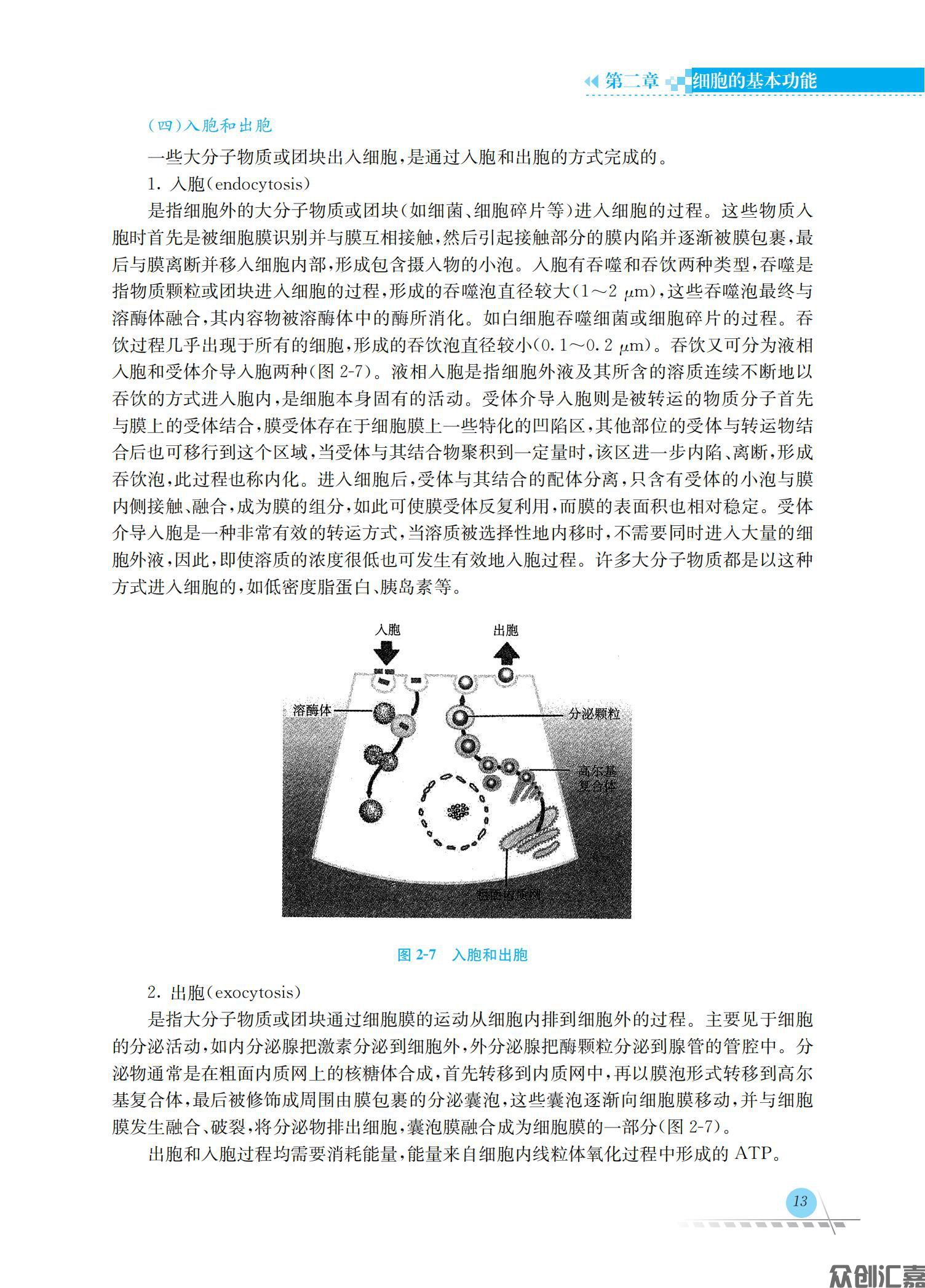 生理学_19.jpg