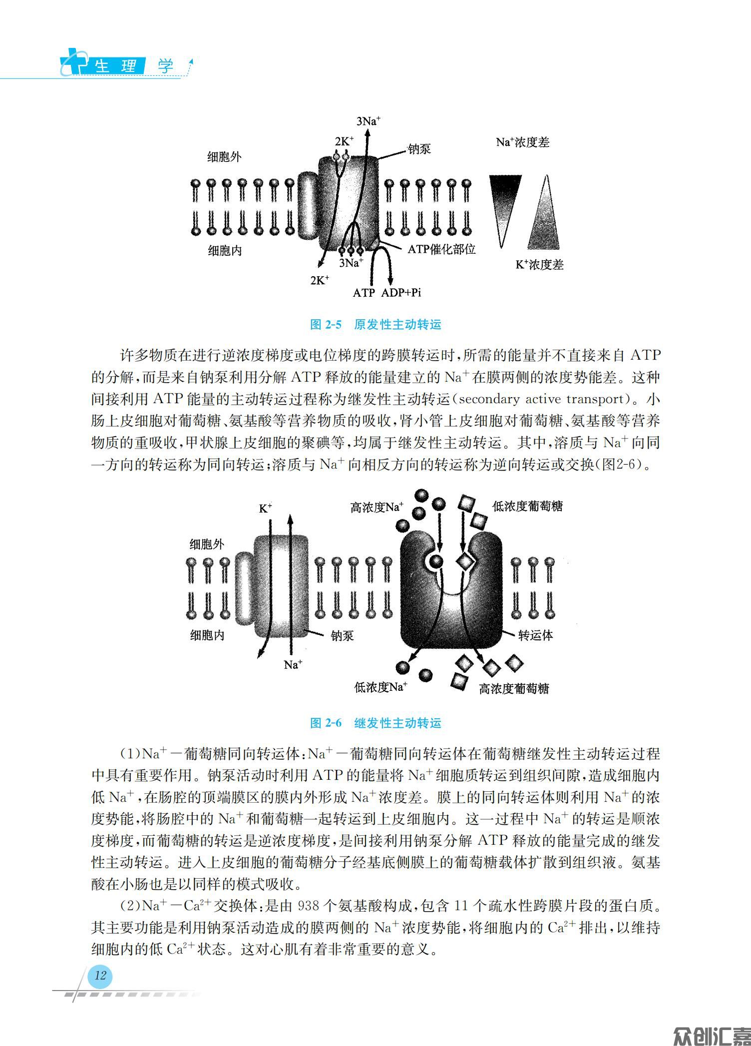 生理学_18.jpg