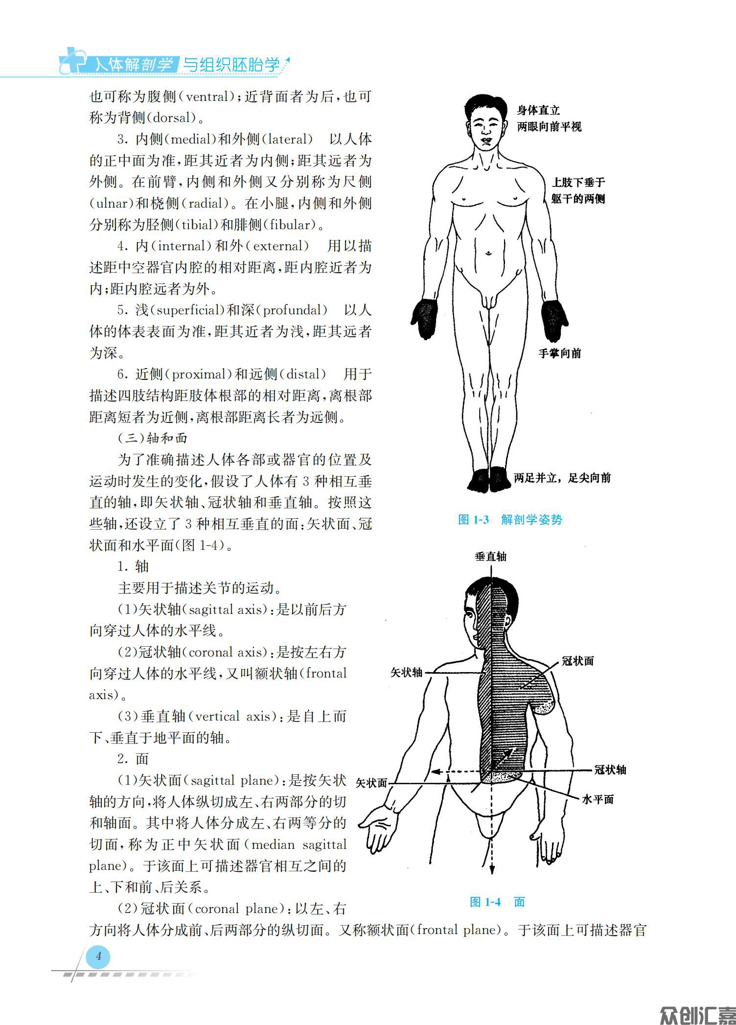 人体解剖学与组织胚胎学_08.jpg