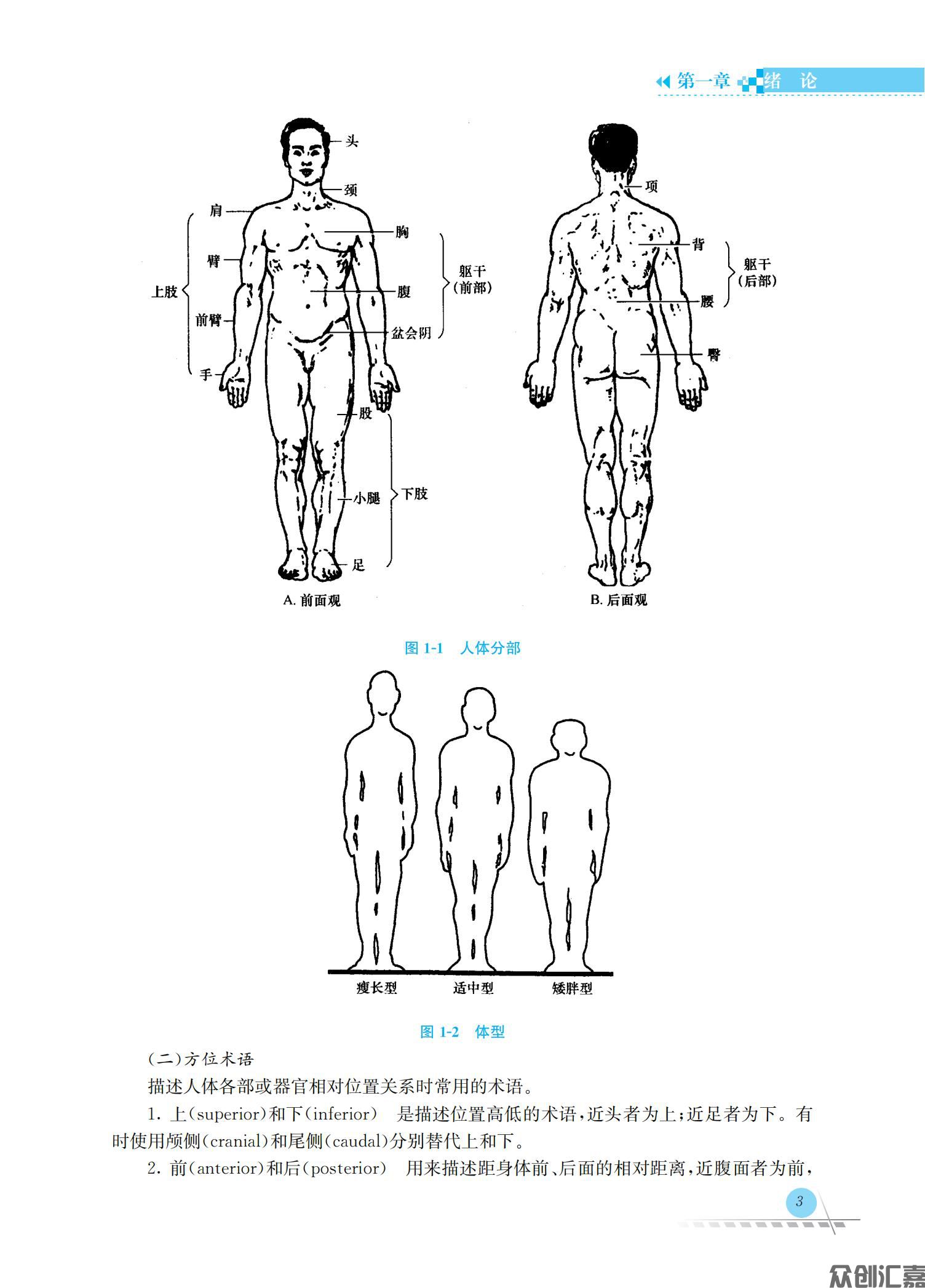 人体解剖学与组织胚胎学_07.jpg
