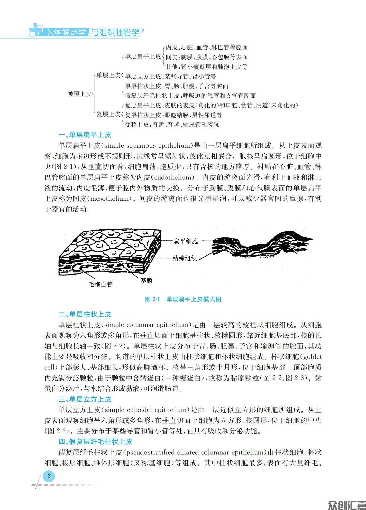人体解剖学与组织胚胎学_12.jpg