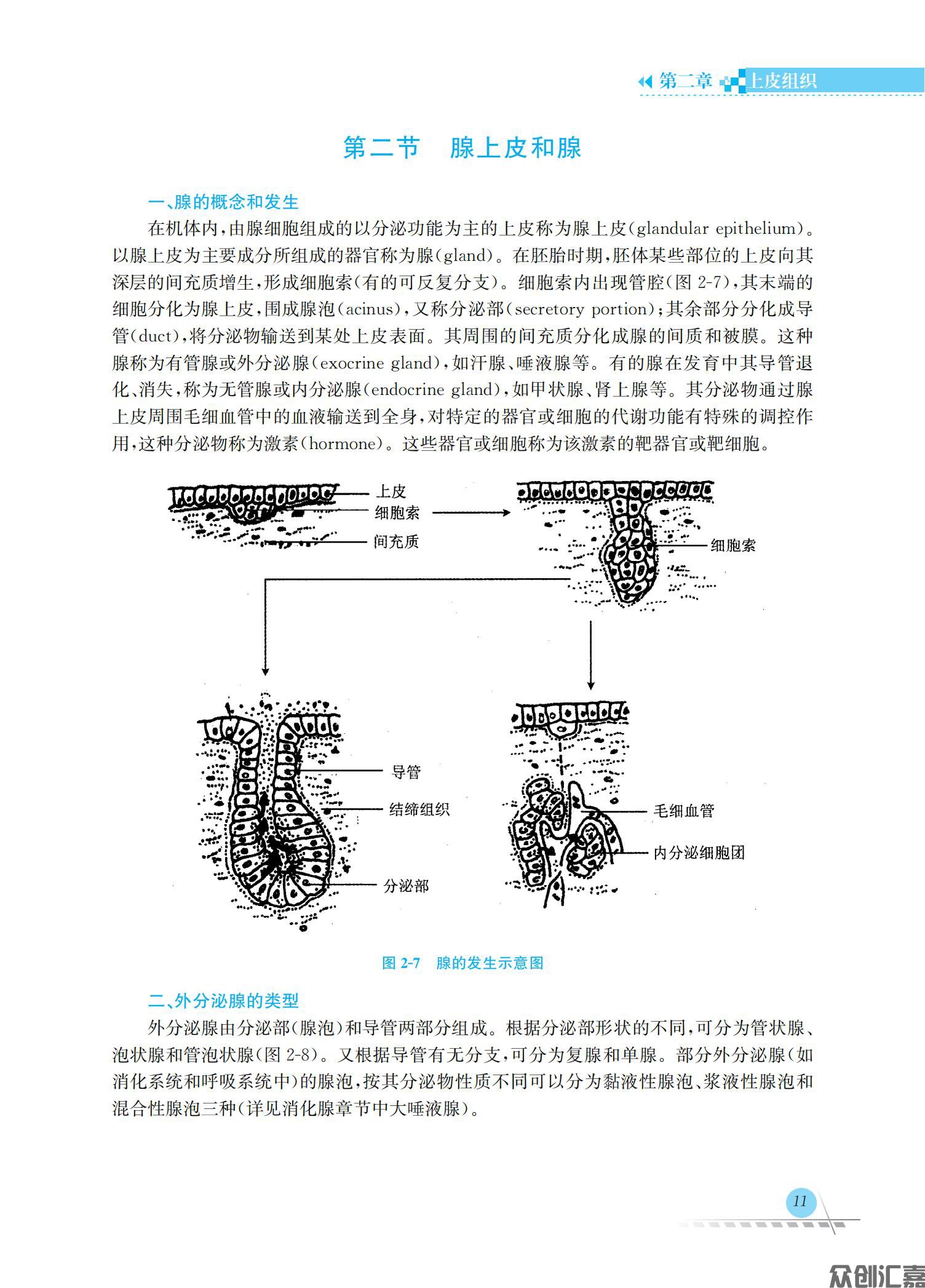 人体解剖学与组织胚胎学_15.jpg