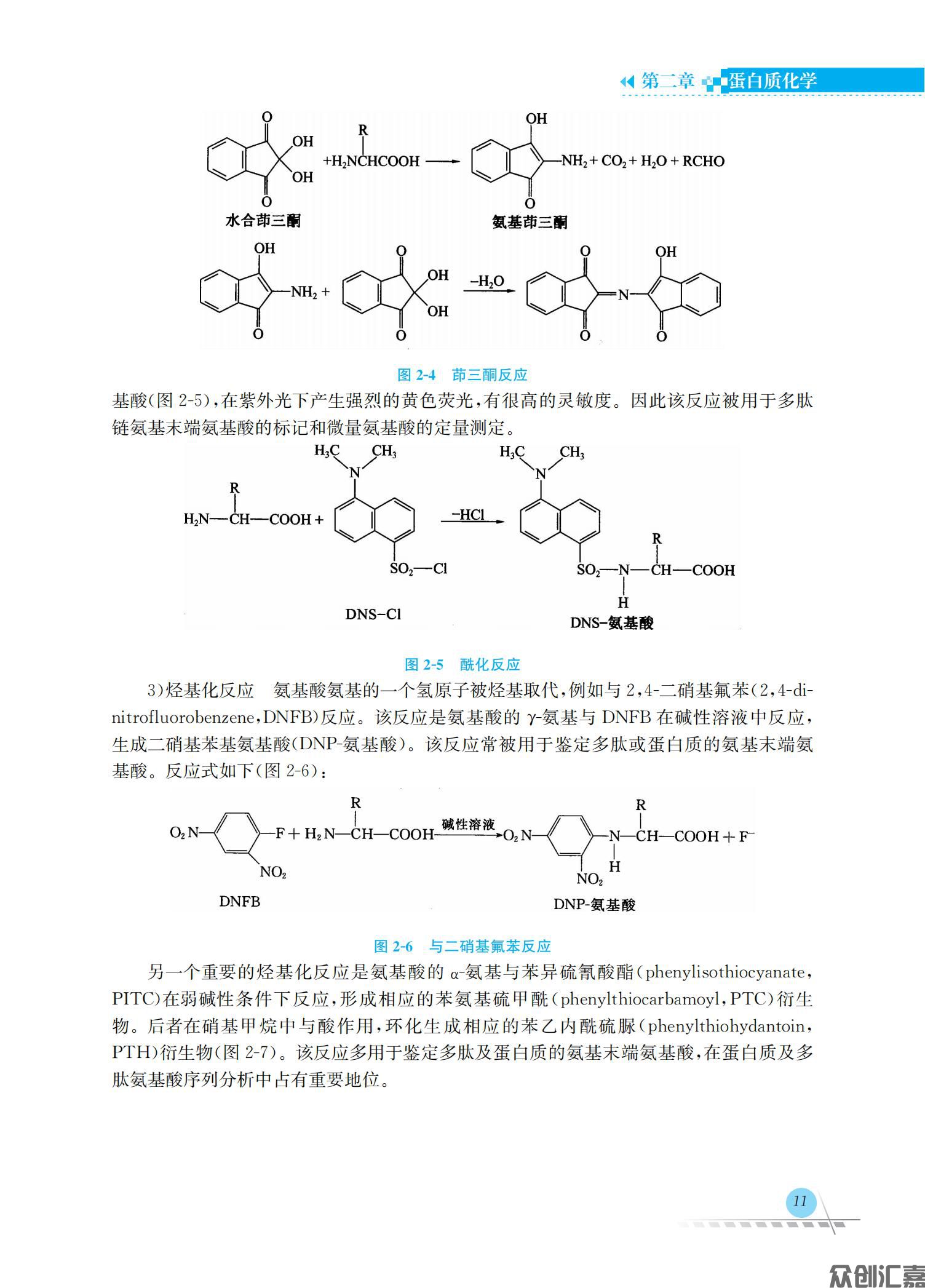生物化学_17.jpg