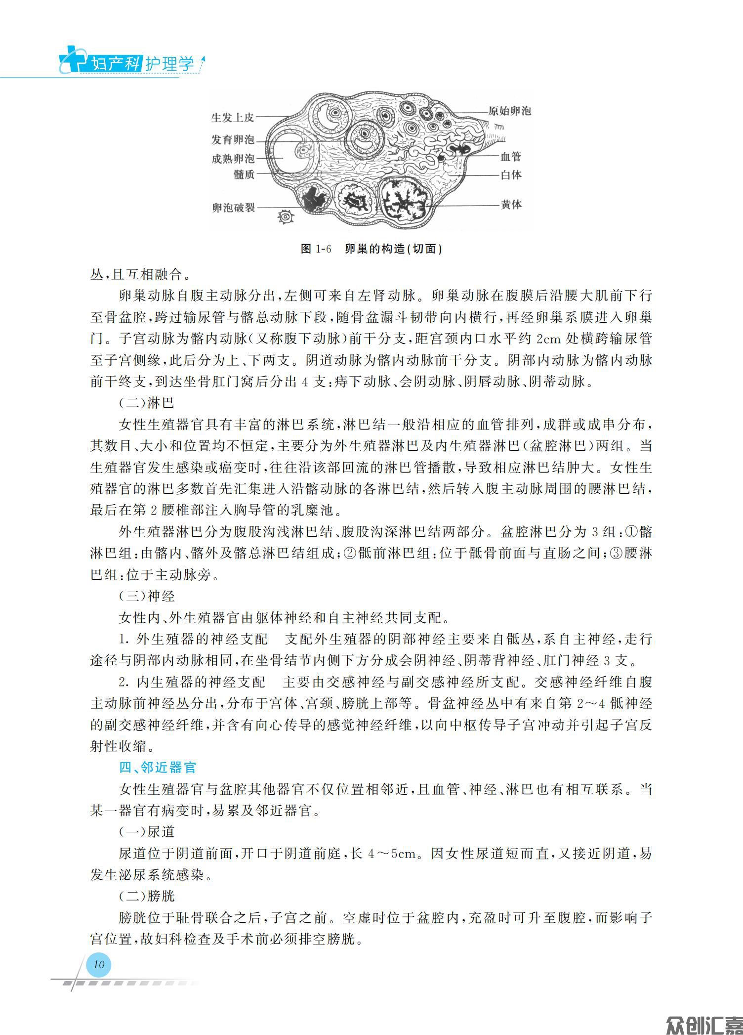 妇产科护理学_16.jpg