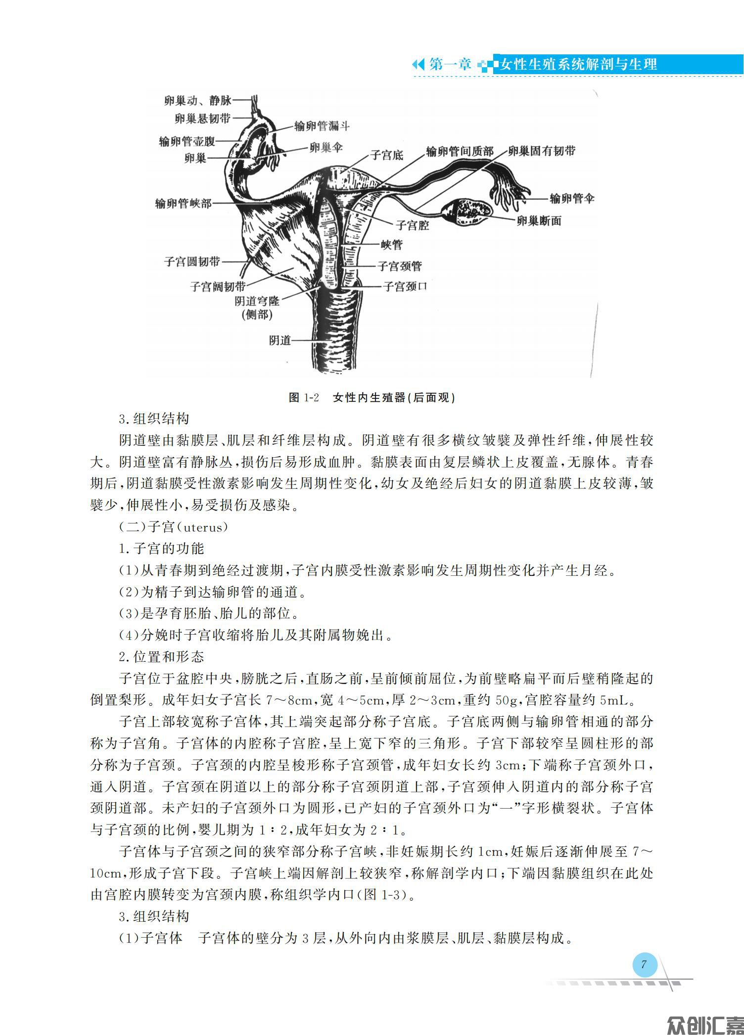 妇产科护理学_13.jpg