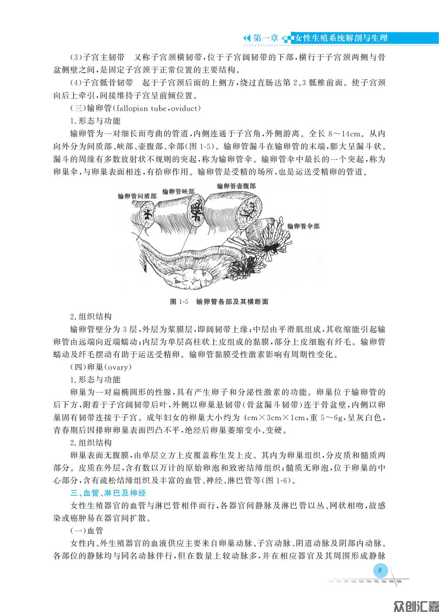 妇产科护理学_15.jpg