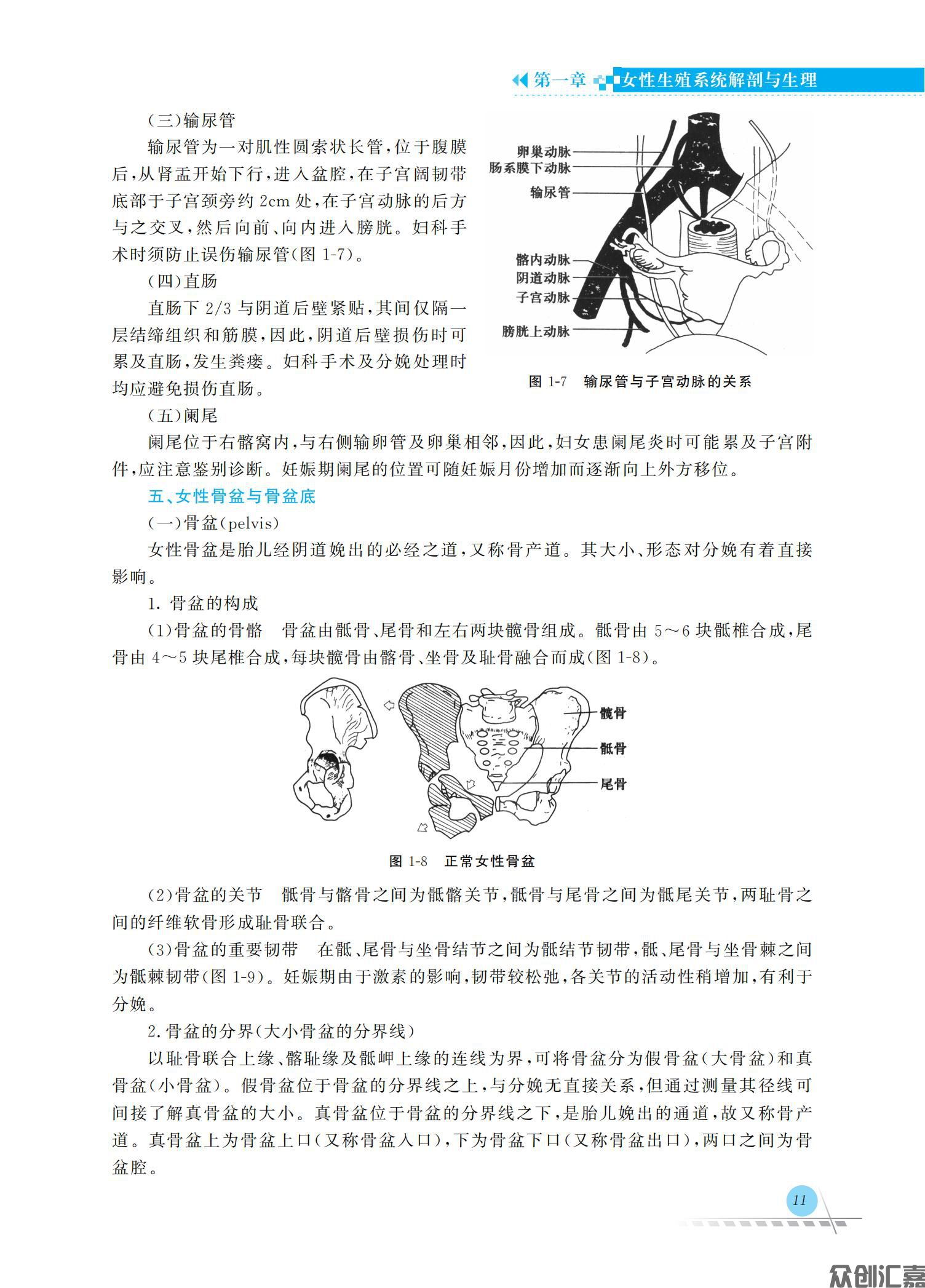 妇产科护理学_17.jpg