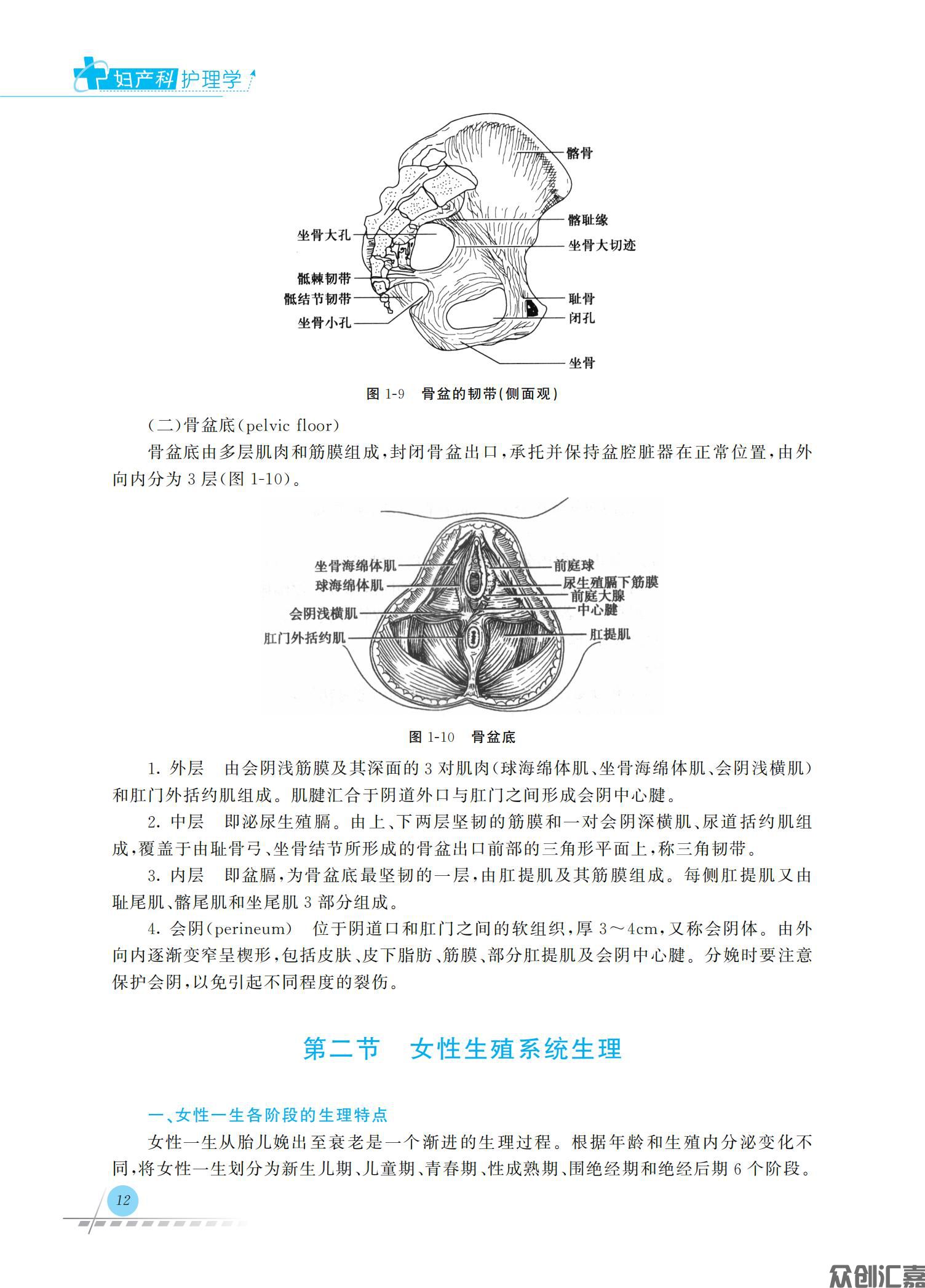 妇产科护理学_18.jpg