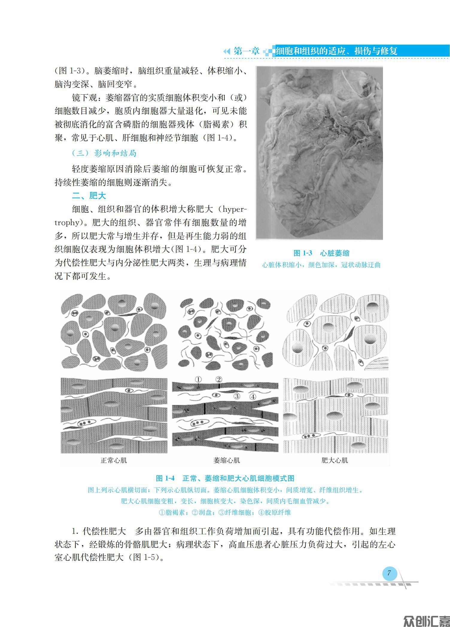 病理学_16.jpg
